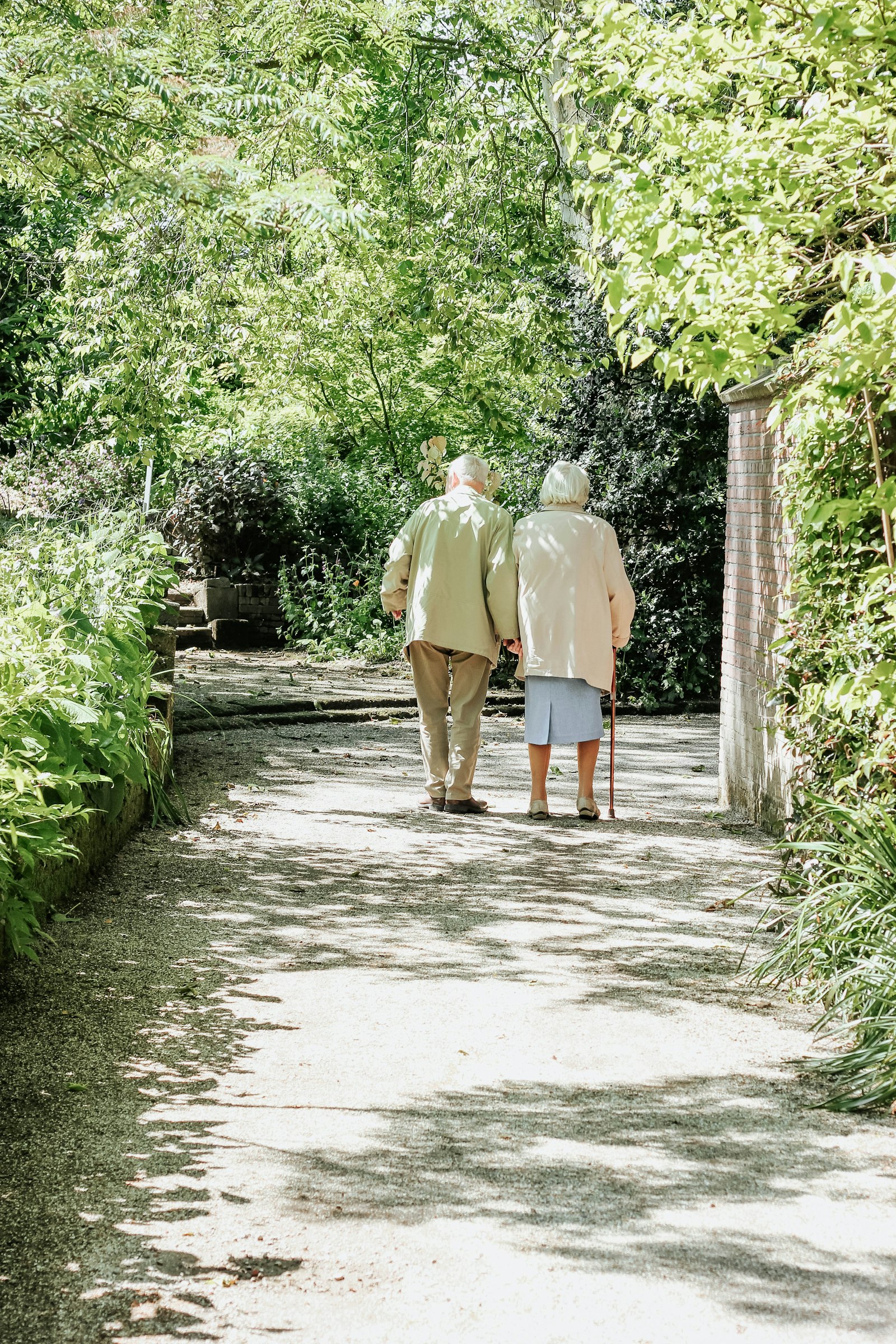 Beautiful garden pathway with flowers